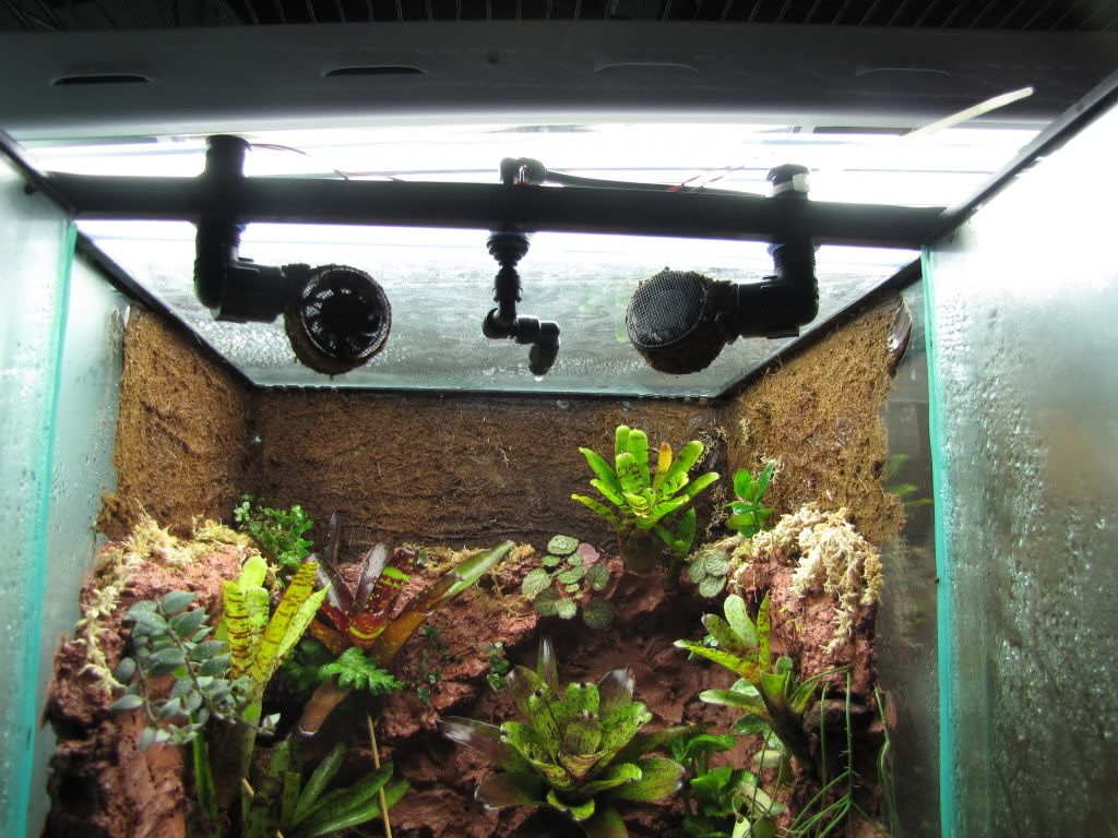 Exo Terra Lid modding Dendroboard